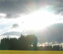 licht